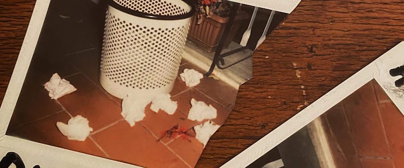 Artist Thumbnail