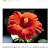 @user-hu2ke6uk7f