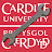 Cardiff Psych Technical