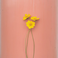 テネの服暮らし