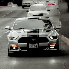 Racing Brothers Mx ????????