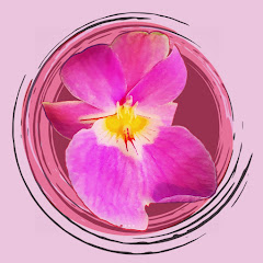 The Orchid Room Avatar