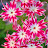author-img