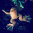 @Frogman1105 Avatar