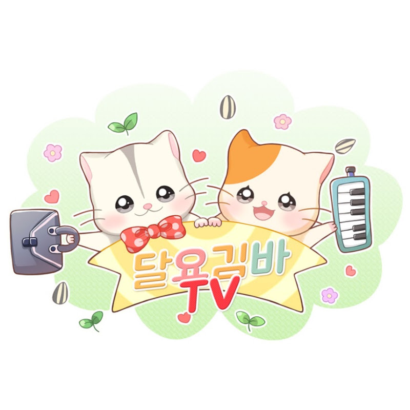 테스트TV