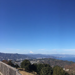 いのコレ
