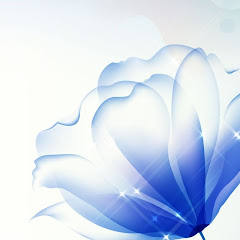 N vcp