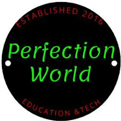 Perfection World