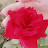 @manalstar8659