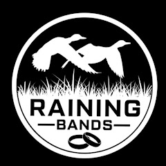 Raining Bands net worth