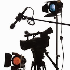 Little Bos Studio