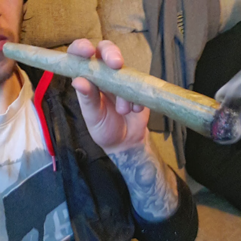 420Guide