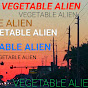 VegetableAliens by Chef Kelly logo