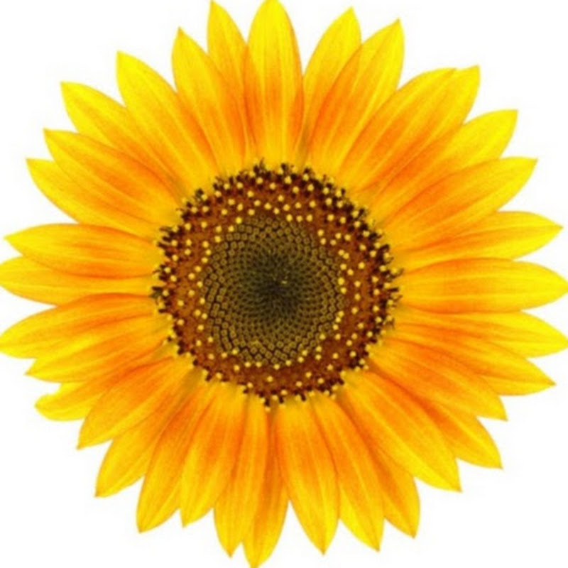 Sunflower Hill, A Luxury Inn