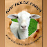 UhOLWxKeThQ-channel-avatar-Kat House Farm - Steve & Terry Throop