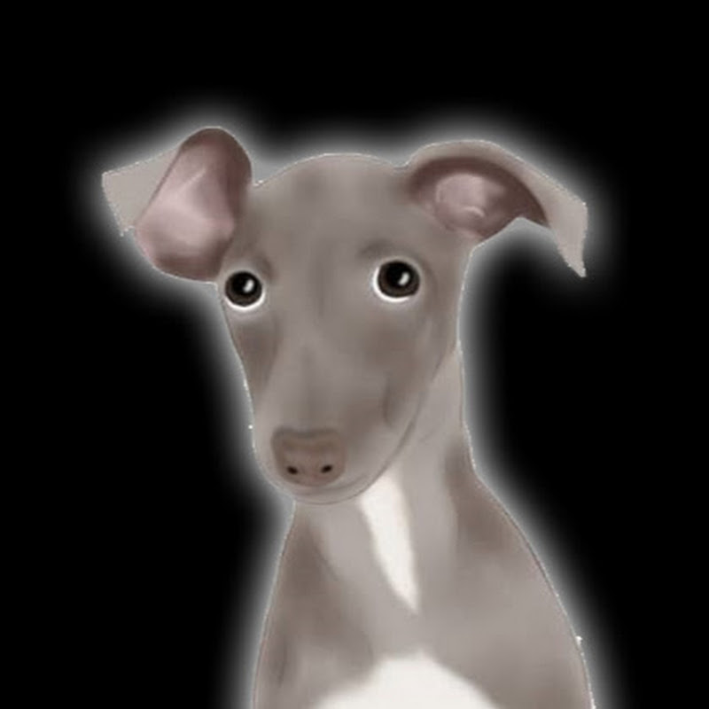 Italian GreyHound Story 하룽튜브 icon
