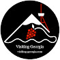 Visiting-Georgia logo
