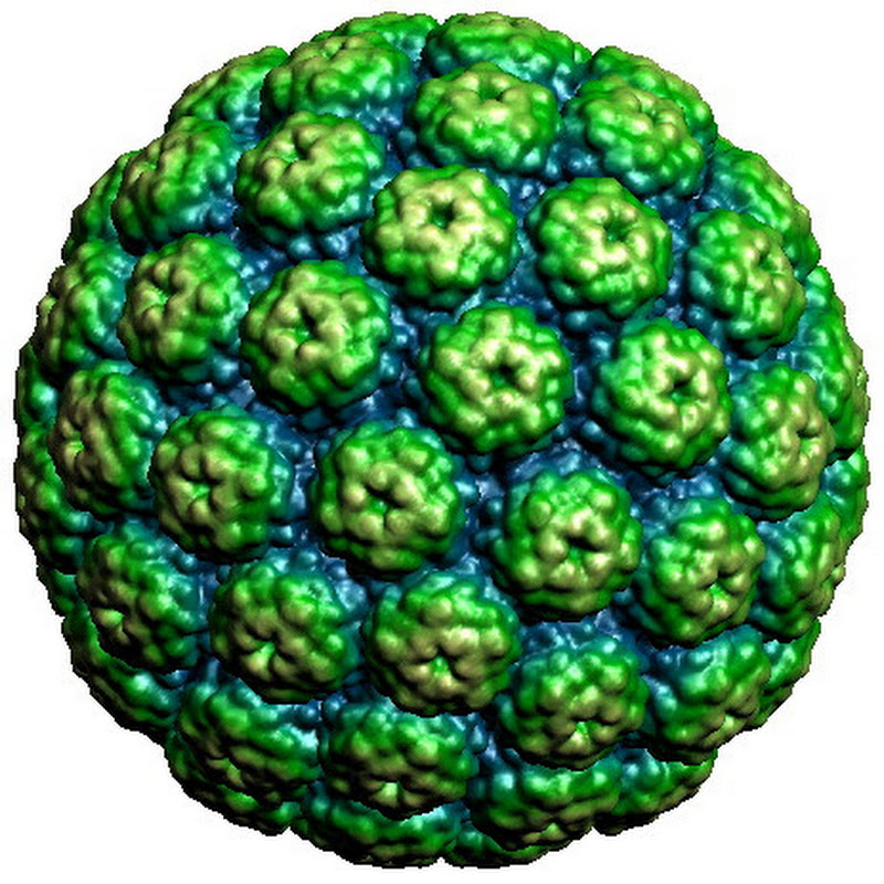 Acidic_Virus logo