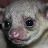 @jbr84tx Avatar