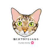 猫たまブログ