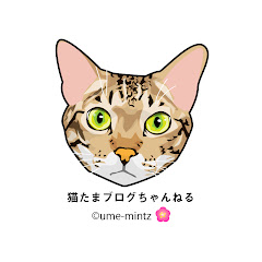 猫たまブログ