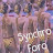 Synchro Foro