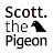 Scott The Pigeon