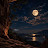 @doaamahmoud4068