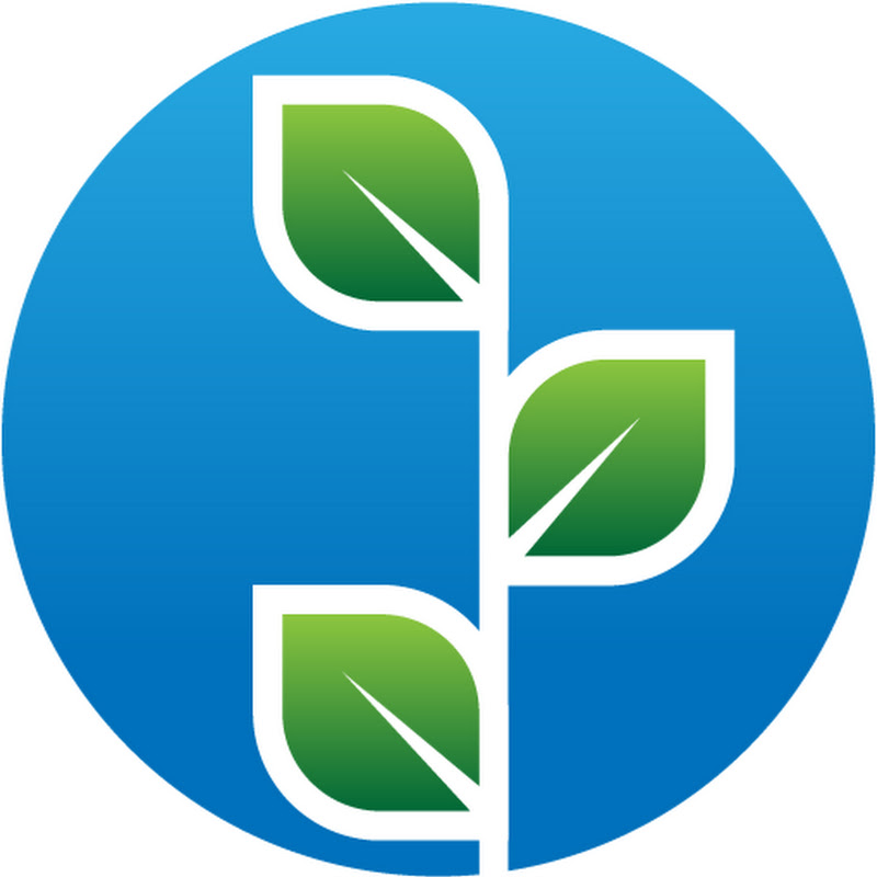 The ESG Investor