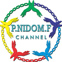 Логотип каналу Prof. Nidom Foundation Channel