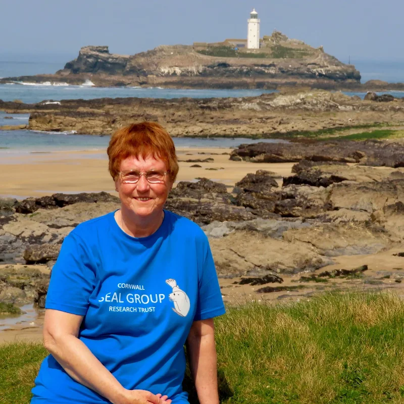 The Cornish Maid