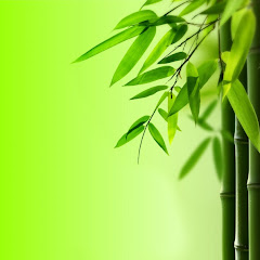 Take-Bamboo