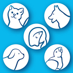 Veterinario Online