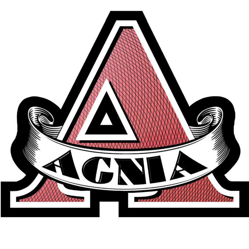 Агния Огонек (История мемов)