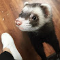 Ferrets Ferrets Ferrets Ferrets logo