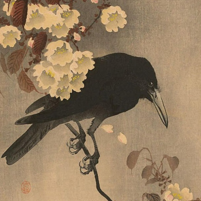 karasuhana Net Worth & Earnings (2026)