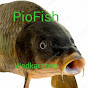 Pio Fish