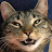 @pixelplayground's avatar
