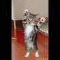 Miniature