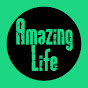 Amazing Life logo