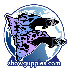 tfzuTXpsvWg-channel-avatar-Championship Show Guppies