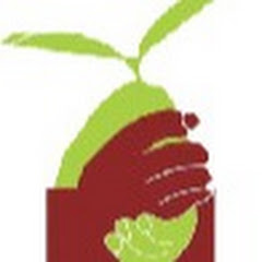 Lipok Social Foundation