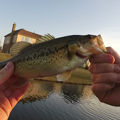 Creeks For Weeks