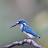 @yousufkhan-bq3rs