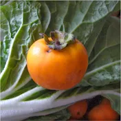 みんなのあそび場