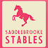 R1ihpqnDw7g-channel-avatar-Saddlebrooke Stables
