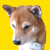 まめ田ちゃめ助