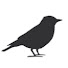 t8ziQTKAboc-channel-avatar-Legend BlackBird