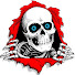 bV1b_-7zf-s-channel-avatar-Powell Peralta