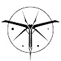 Tineidae